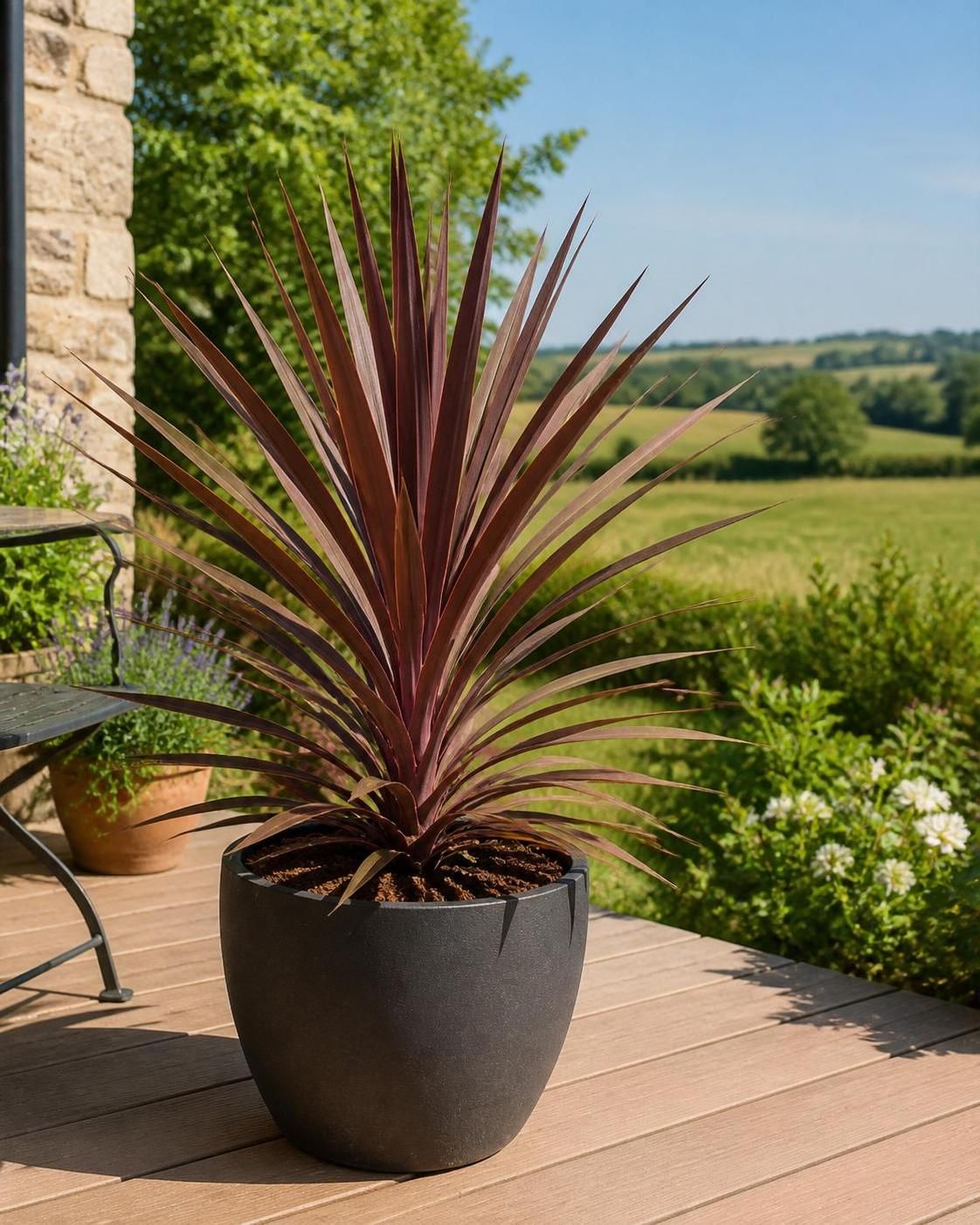 découvrez comment réussir la culture de la cordyline australis, une plante élégante, en intérieur comme en extérieur grâce à nos conseils d'entretien simples et efficaces.