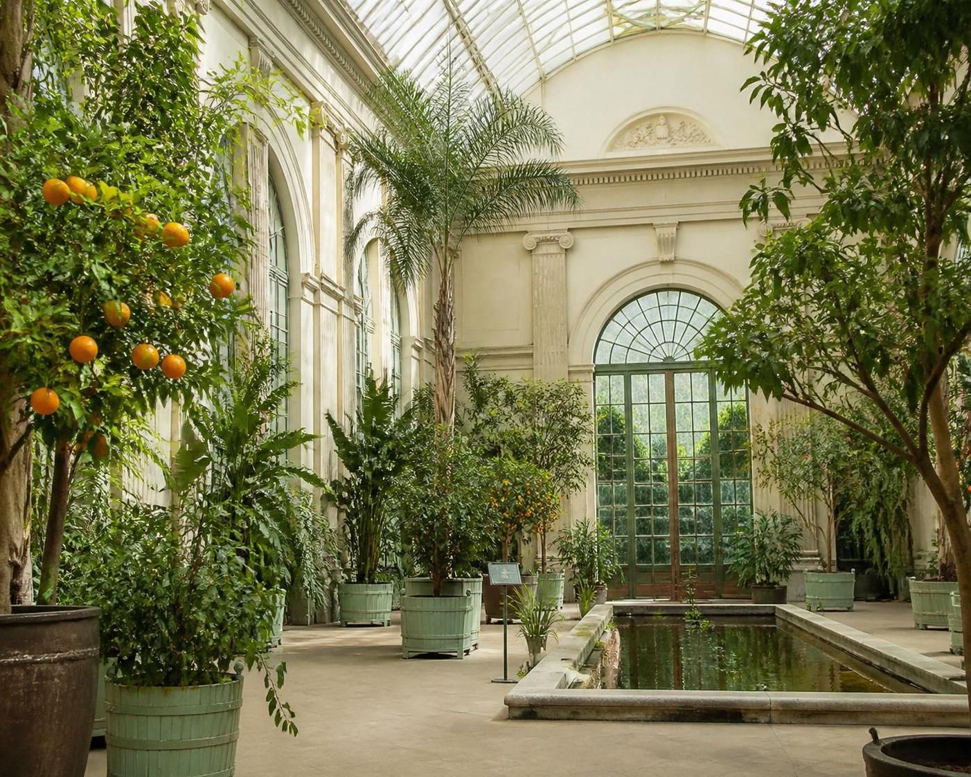 découvrez l'orangerie du jardin des plantes, un véritable havre de fraîcheur au cœur de la ville, où nature et sérénité vous attendent pour une pause apaisante.