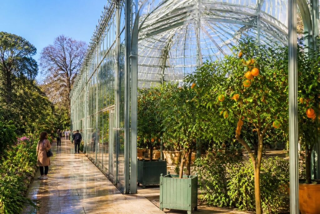 découvrez l'orangerie du jardin des plantes, un havre de fraîcheur et de verdure au cœur de la ville, idéal pour une pause nature et détente.